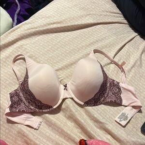 Pink and Brown Lace Bra with Molded Cups